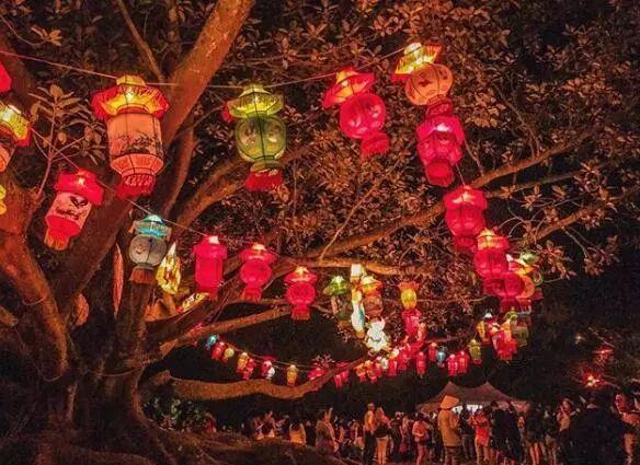 Lantern Lantern
